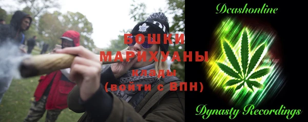 прущий лед Горняк