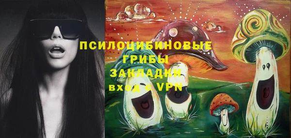крисы Гусиноозёрск