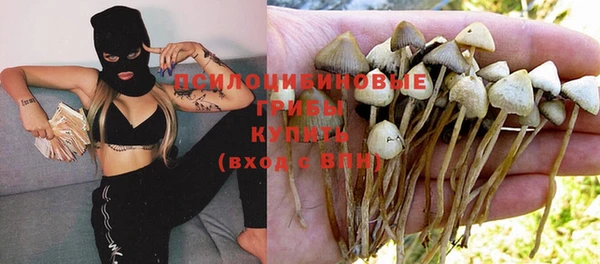 прущий лед Горняк